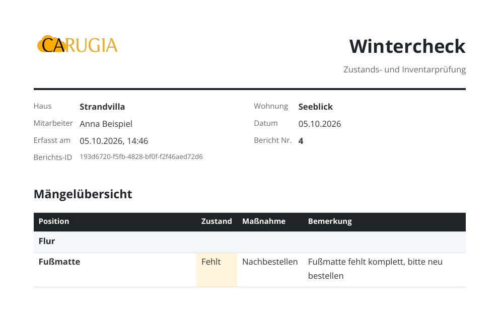 Erste Seite eines Wintercheck-Berichts mit Kopfdaten und Mängelübersicht